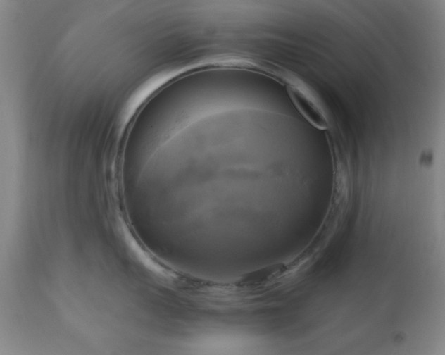 X0000112970959200909031043