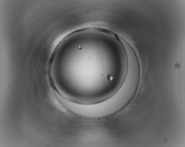 X0000112970960200909031043