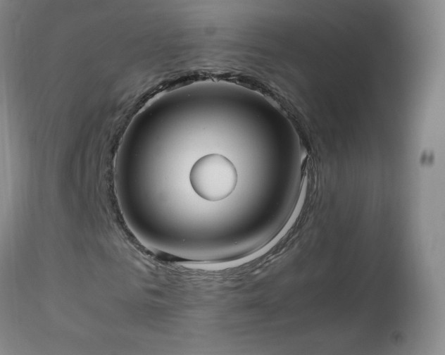 X0000112970961200909031042