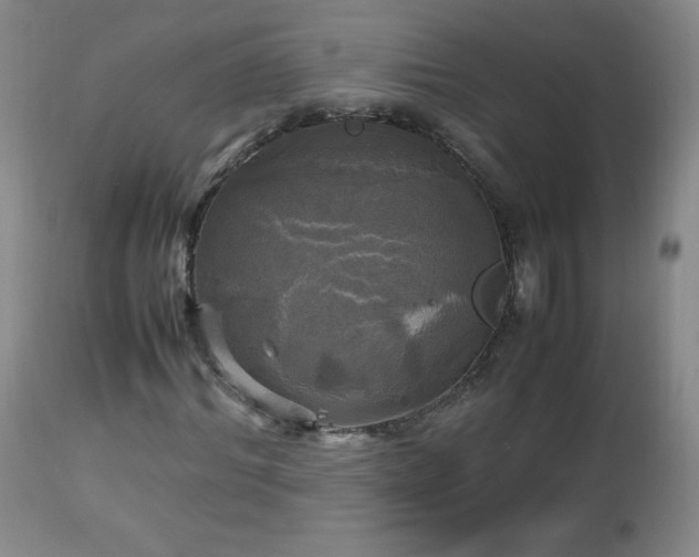 X0000112970964200909031042