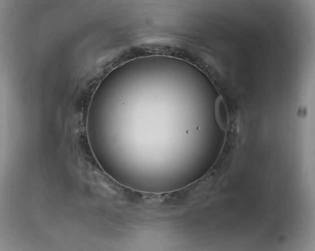 X0000112970965200909031042