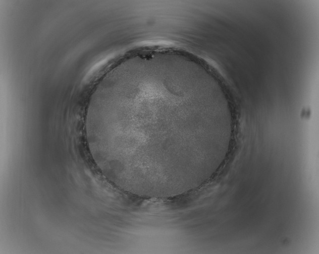 X0000112970967200909031042