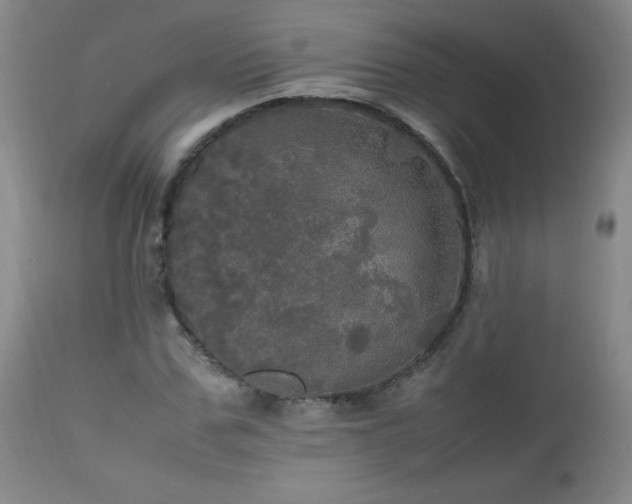 X0000112970971200909031042