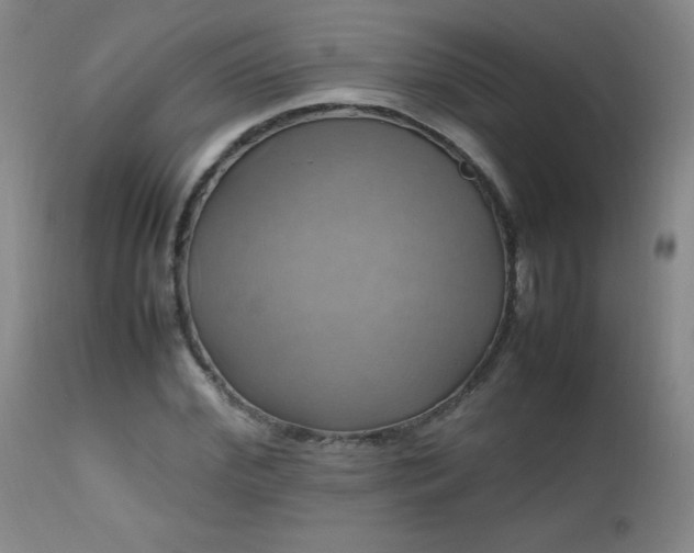 X0000112970972200909031042