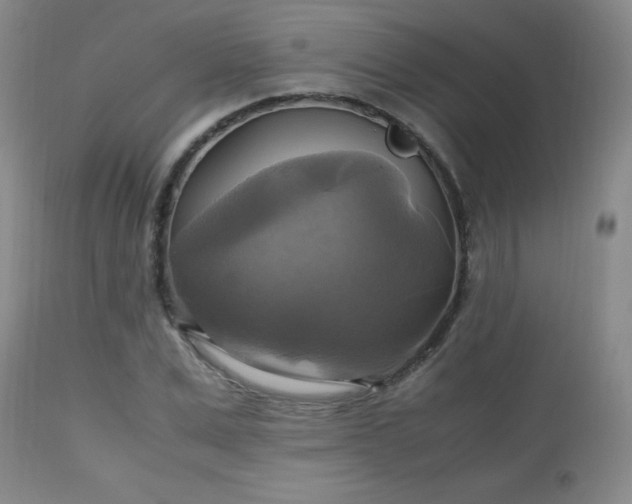 X0000112970975200909031042