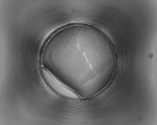 X0000112970976200909031042