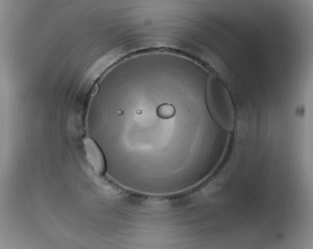 X0000112970977200909031042