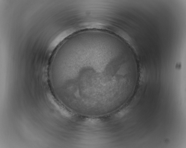 X0000112970978200909031042