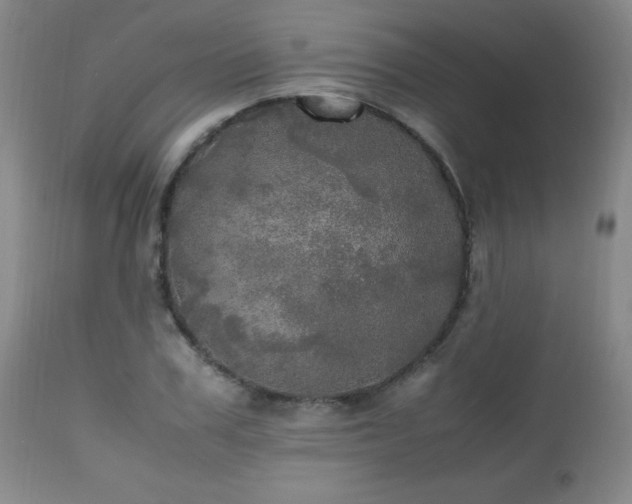 X0000112970979200909031042