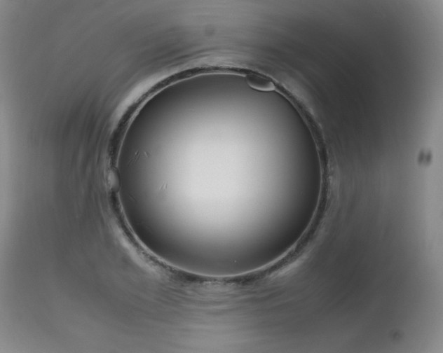 X0000112970981200909031042