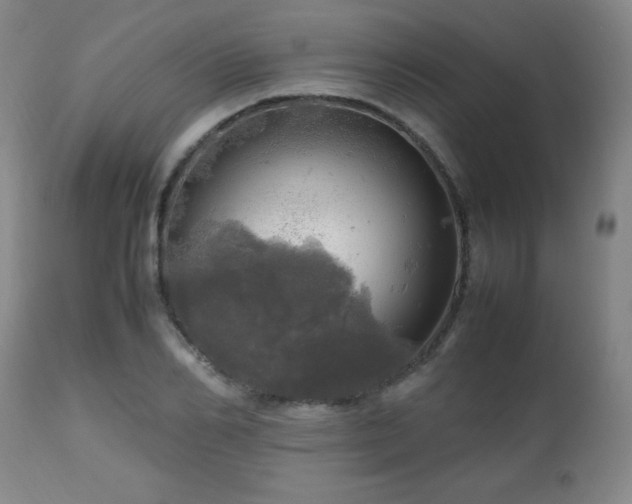 X0000112970982200909031042