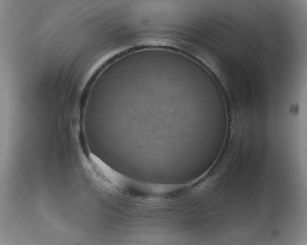 X0000112970984200909031042