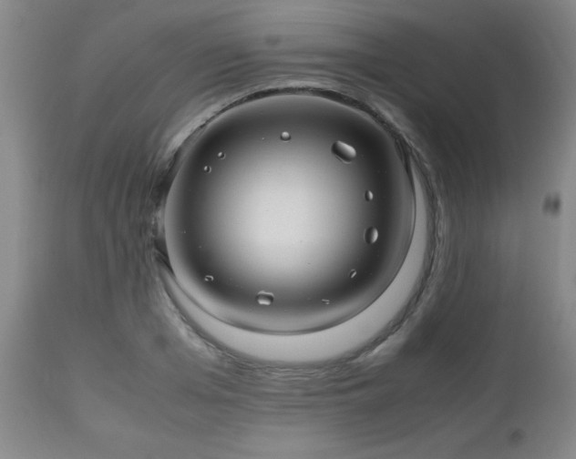 X0000112970985200909031042