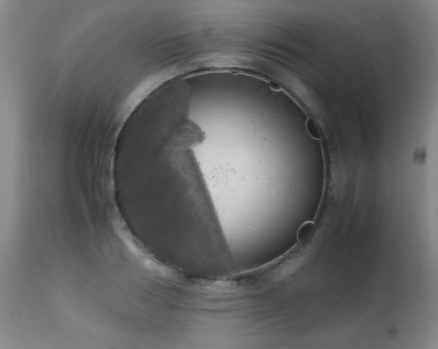 X0000112970986200909031042