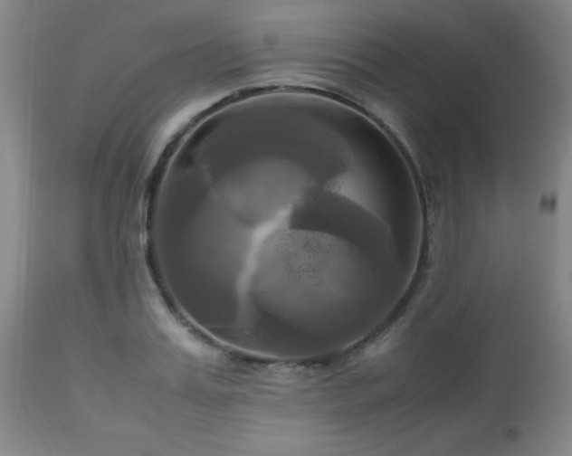 X0000112970987200909031042