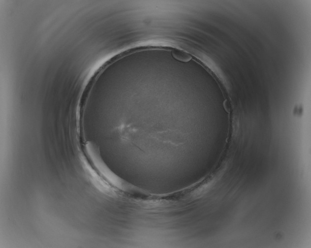 X0000112970988200909031042