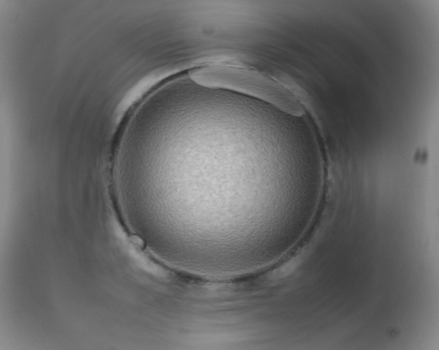 X0000112970989200909031042