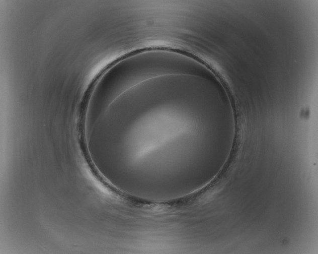 X0000112970991200909031041