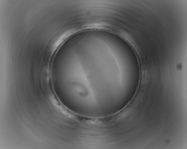 X0000112970994200909031041