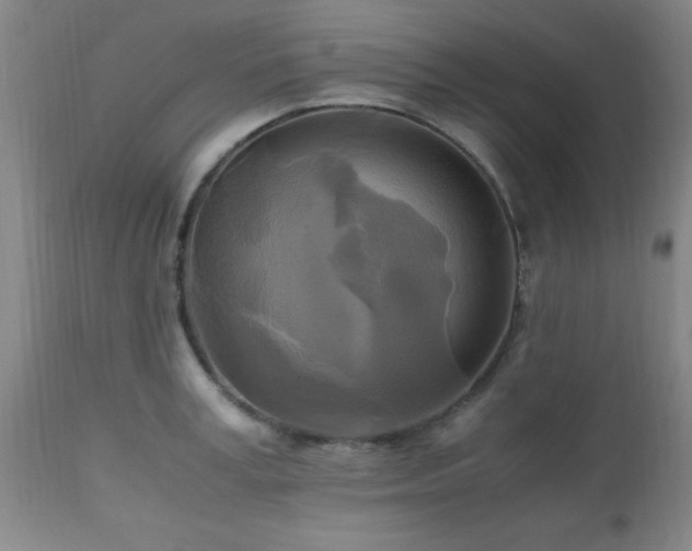 X0000112970995200909031041