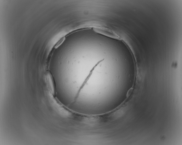 X0000112970997200909031041