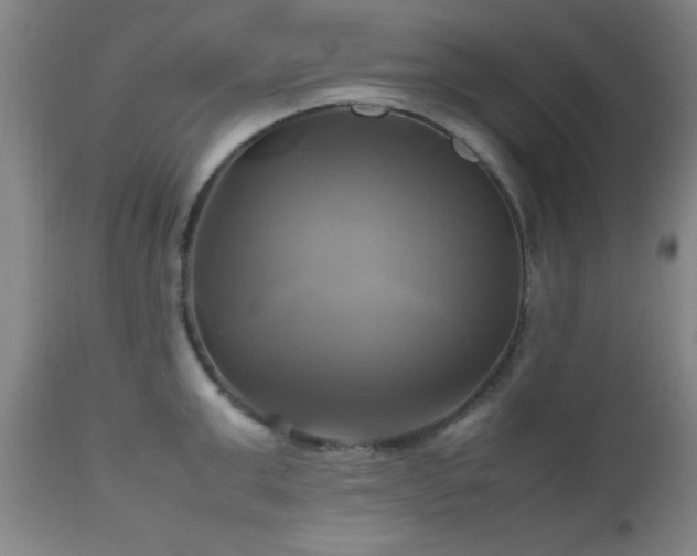 X0000112970999200909031041