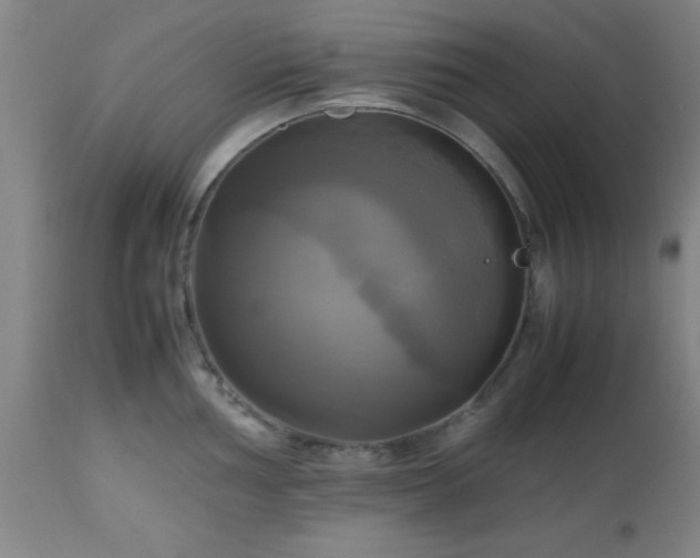 X0000112971002200909031041