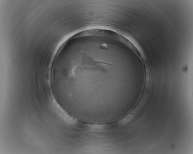 X0000112971004200909031041