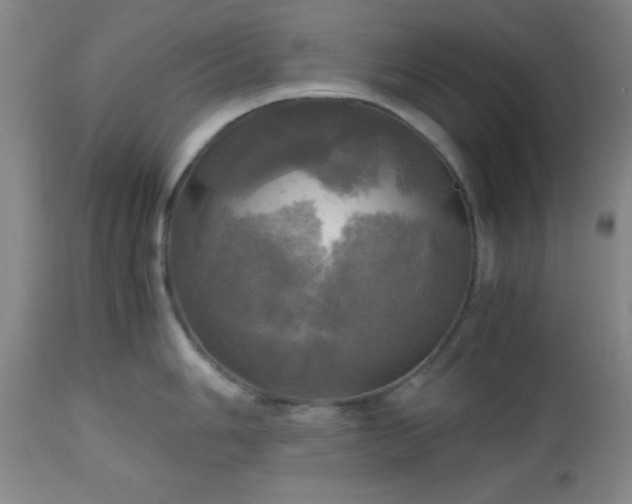 X0000112971006200909031041