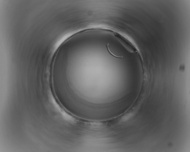 X0000112971007200909031041