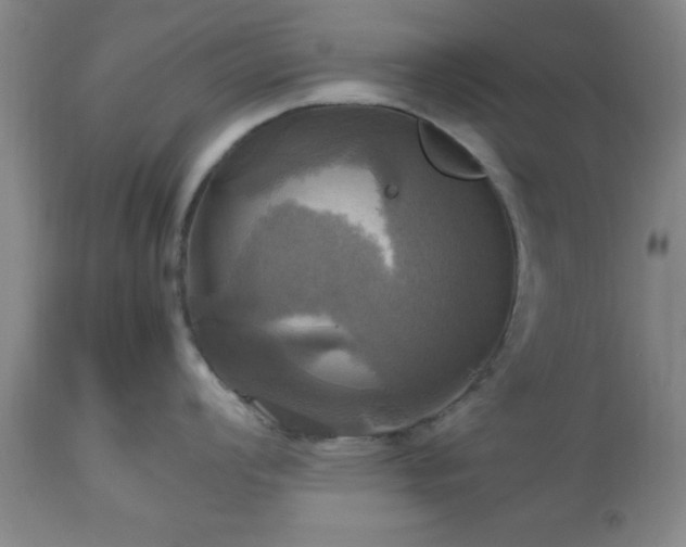 X0000112971008200909031041