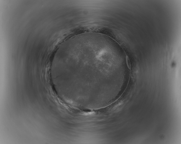 X0000112971010200909031040