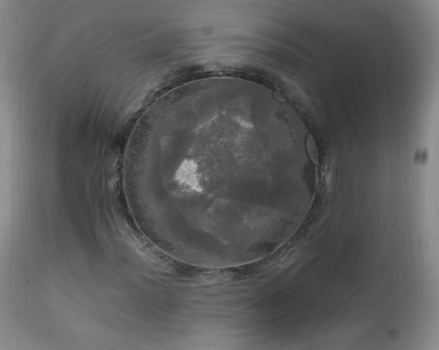 X0000112971012200909031040