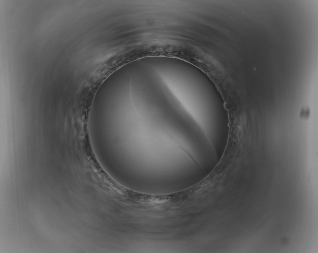 X0000112971013200909031040