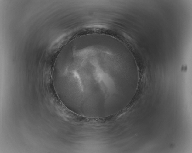 X0000112971014200909031040