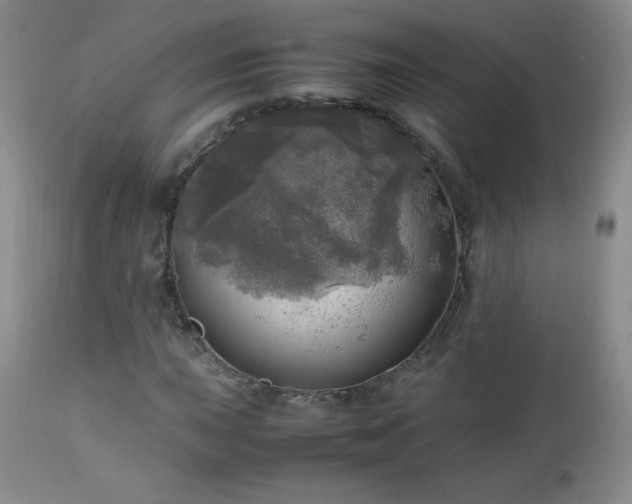 X0000112971015200909031040