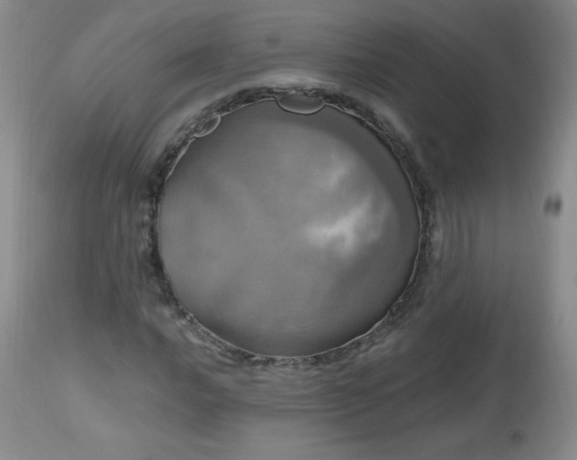 X0000112971016200909031040