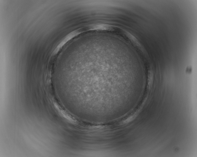 X0000112971017200909031040