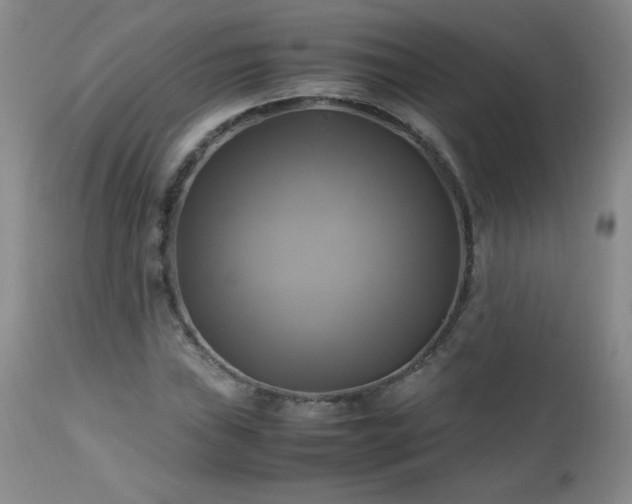 X0000112971019200909031040