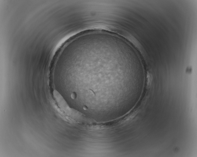 X0000112971020200909031040