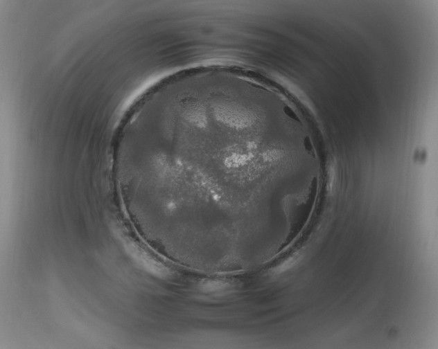 X0000112971021200909031040