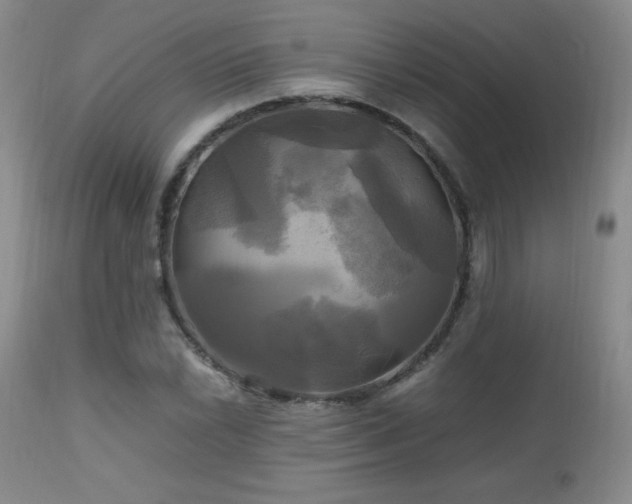 X0000112971022200909031040