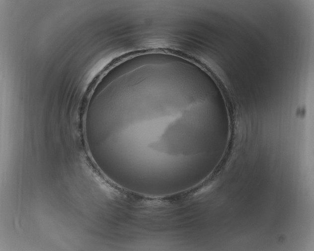 X0000112971023200909031040