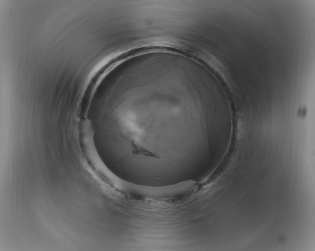 X0000112971024200909031040