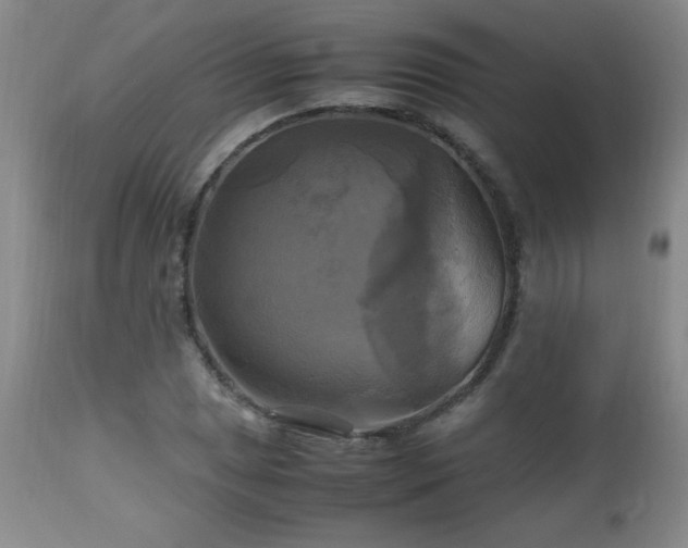 X0000112971025200909031040