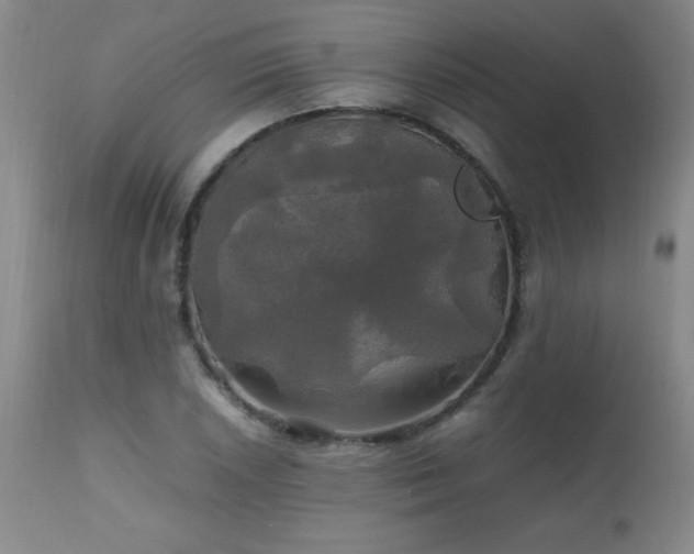 X0000112971026200909031040