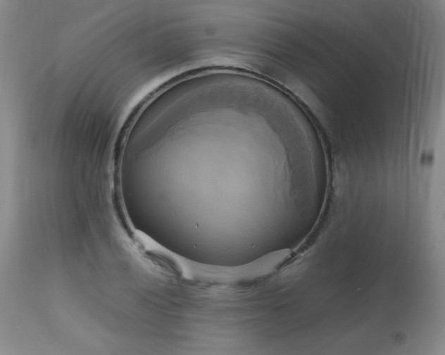 X0000112971028200909031040