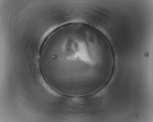 X0000112971029200909031040