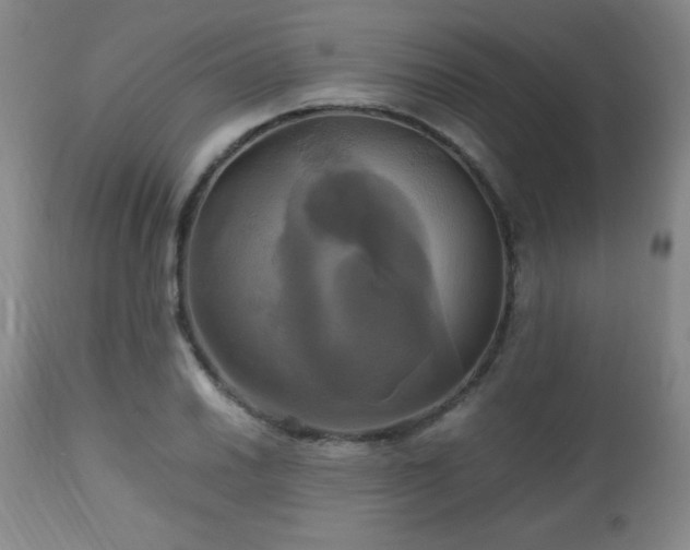 X0000112971030200909031041