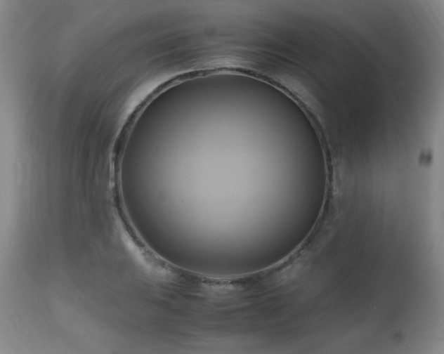 X0000112971031200909031041